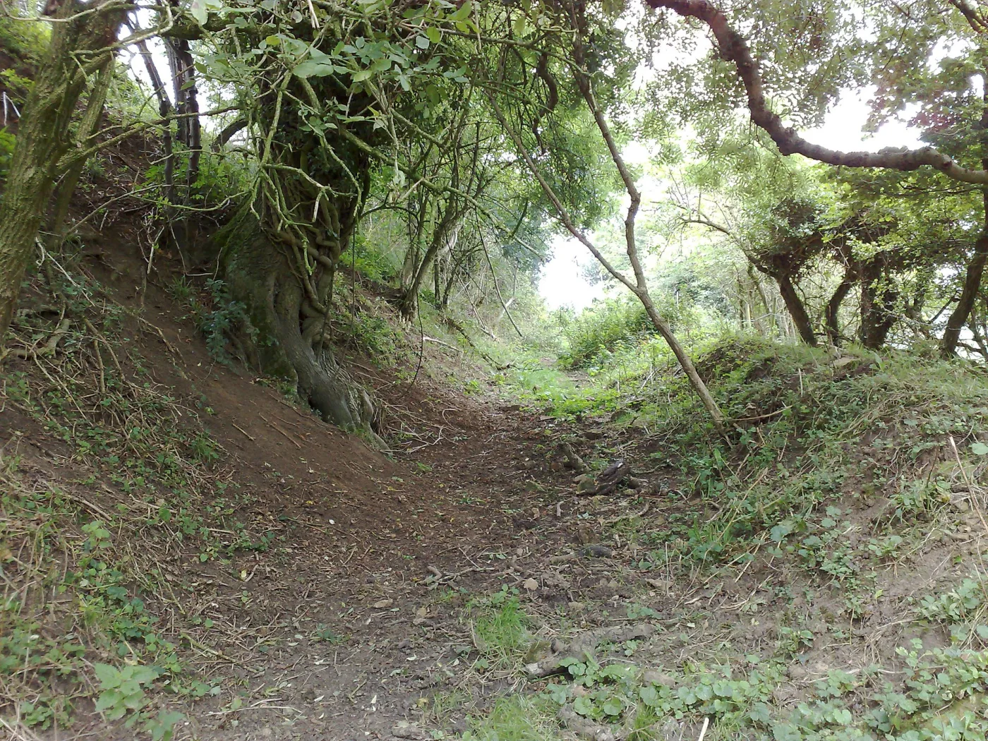 Battle of Deorham historical image 1